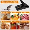 Mouse Traps Indoor for Home: Small Mice Trap for House