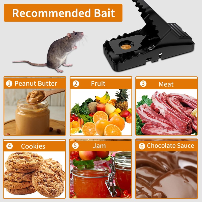 Mouse Traps Indoor for Home: Small Mice Trap for House