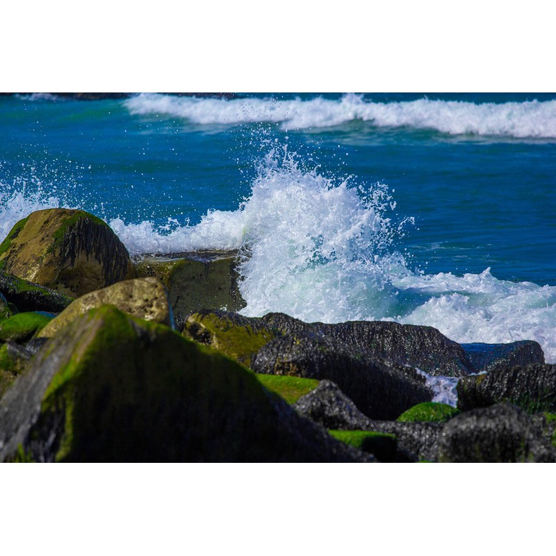 Biomaná Crema Corporal para Masajes Reductivos, con Algas Marinas 400