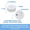 VOICEGIFT VoiceGift 60 Second Multi-Message Voice Recorder, Record Custom Messages
