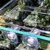 Acrylic Simple Installation Fish Food Feeder Feeding Ring for Fish