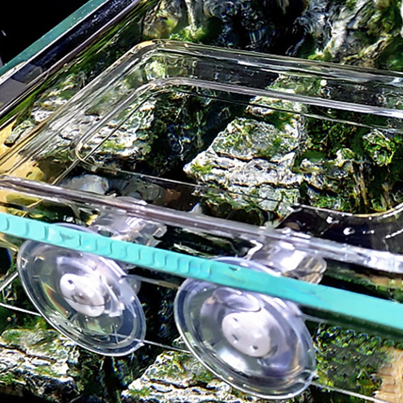 Acrylic Simple Installation Fish Food Feeder Feeding Ring for Fish