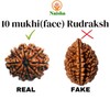 NAISHA 10 Mukhi Rudraksha Bead Necklace, 100% Certified & Original