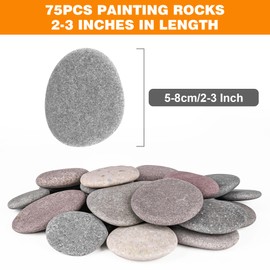 River Rocks for Painting 75 Pcs Large 2-3 Inch Flat Smooth Painting Stones Craft Rock to Paint for Kids Crafts Painting Bulk