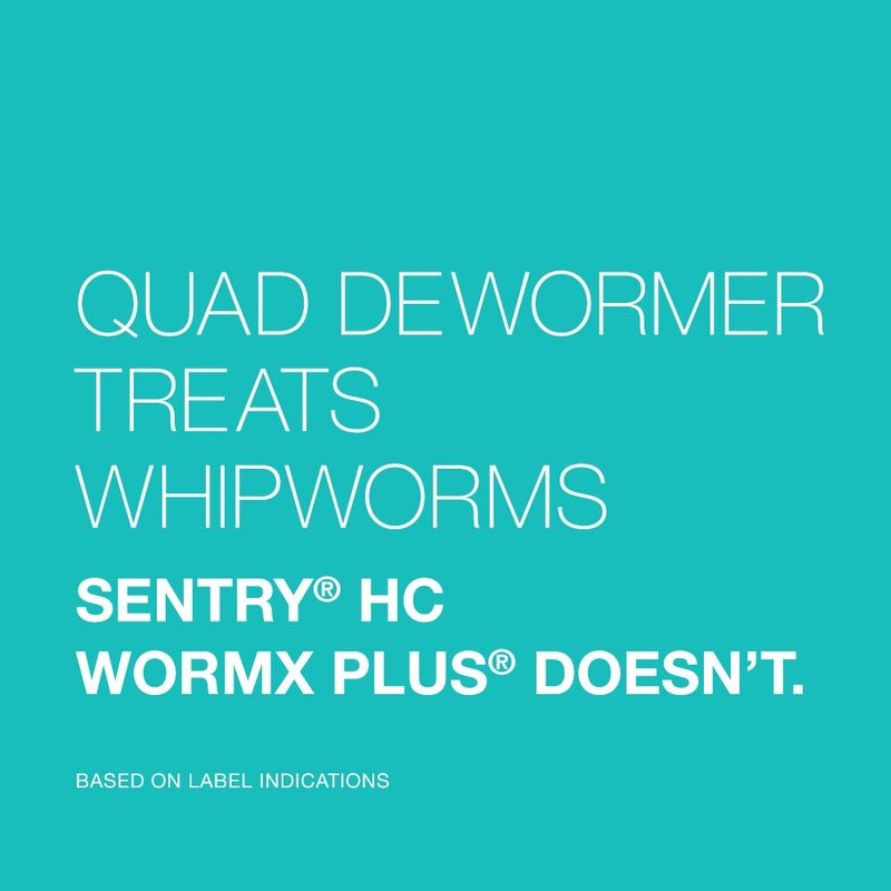 Elanco Chewable Quad Dewormer for Medium Dogs, 26-60 lbs, 2