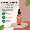 Flores De Bach Para Perros Y Gatos - Ansiedad Por