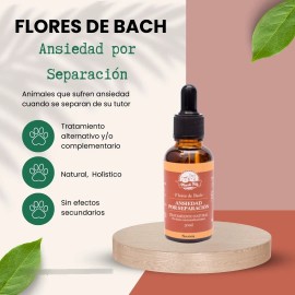 Flores De Bach Para Perros Y Gatos - Ansiedad Por Separación