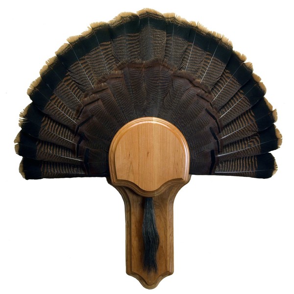 Walnut Hollow Country Deluxe Turkey Display Kit, Cherry