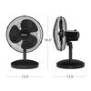 HOLMES 12" Table Fan, 75° Oscillation, 3 Speeds, 15° Adjustable