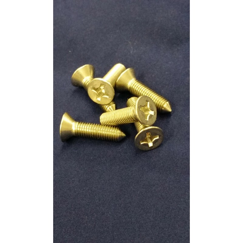 Triumph TR250-TR6 Stainless Steel Screw Sets Bundle