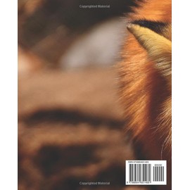  Compassionate End-of-Life Support for Beloved Pets: Empathetic Guidance and Comfort for Doting Pet Owners Navigating the Farewell Journey