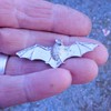 William Sturt Hand Cast Pewter Bat Brooch, Pewter