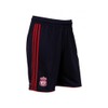 LIVERPOOL 2010/2011 Junior Away Shorts, Navy/Red, Age 8