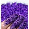 EliteKoopers 10g Dark Purple Sparkling Ultra Fine Glitter Powder, Extra