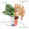 Relota Pack of 3 Flower Pot, White, 15.3 cm Width,