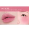Rainbow Mansion Tint Object Liquid Cool Tone Fixing 31 sakura