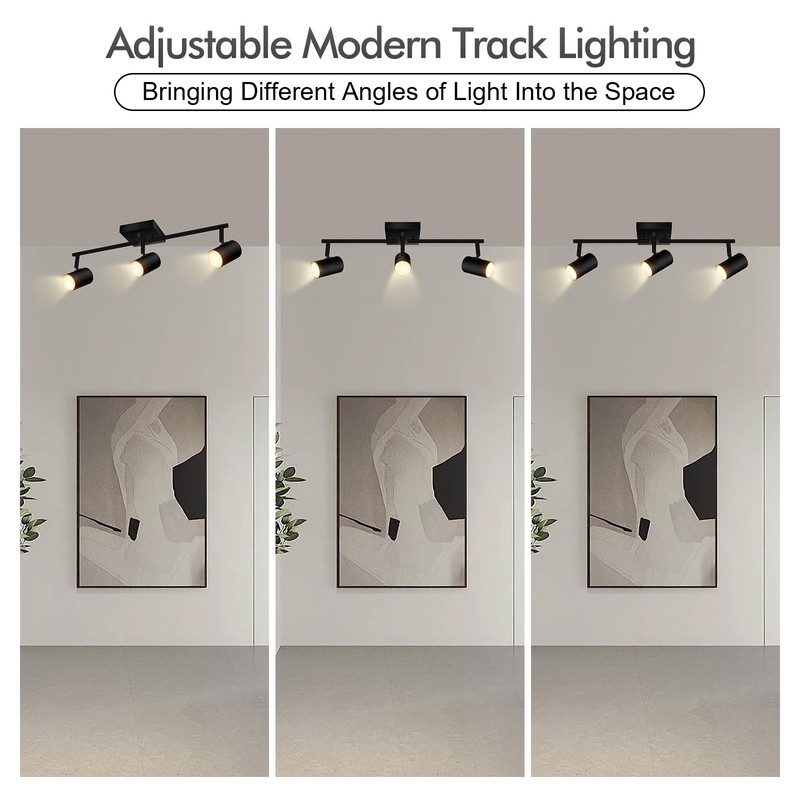 AUQUEE 3 Light Track Lighting Fixtures Ceiling, Black LED Track