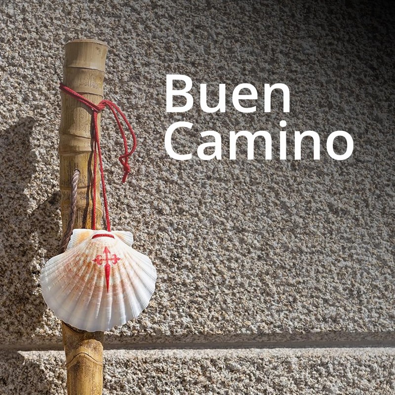 Buen Camino Scallop in Velvet Pouch - Pilgrim Shell for