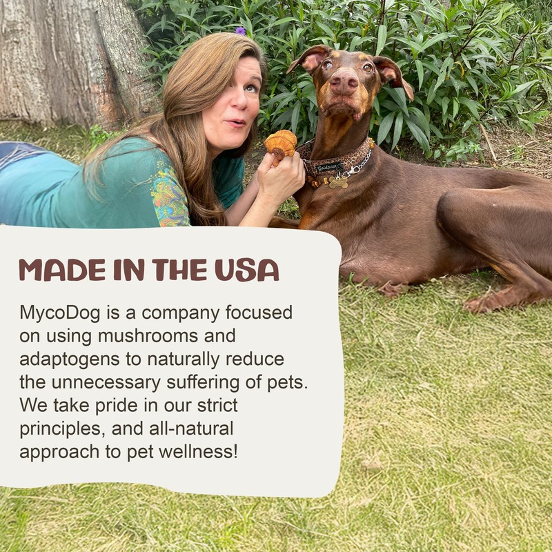 MycoDog Chaga Mushroom Supplement for Dogs - Immune Defense &