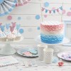 Ginger Ray Pink & Blue Spotty Paper Plates - Little