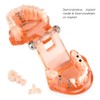 Dental Model Dental Model, Removable Dental Implant Teaching Model Dentist