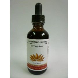 Golden Lotus Herbs American Ginseng (Xi Yang Shen) Liquid Herbal Extract by Golden Lotus Herbs - 4 oz