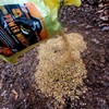 Power Munch | Deer Feed Supplement With Probiotics for Maximum