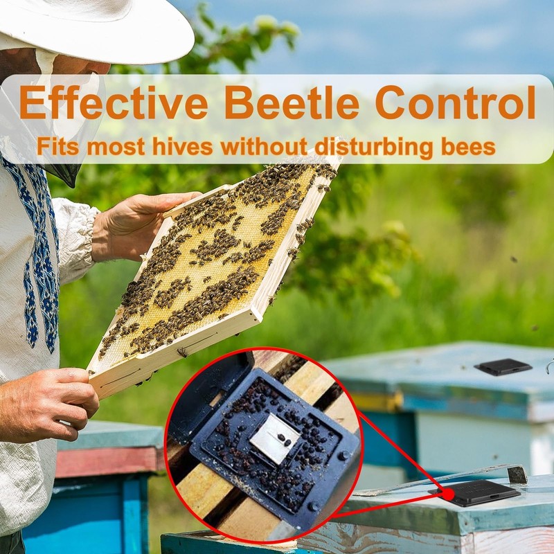 30 PCS Hive Beetle Traps for Bee Hives, Reusable Small
