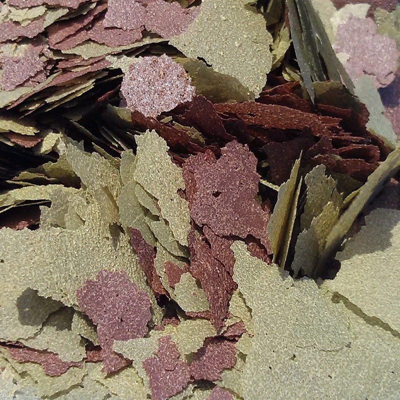 Aquatic Foods Inc. Flakes - 45% California Blackworm & Cichlid