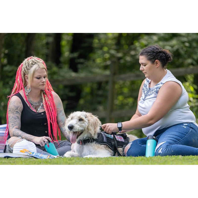 NormaLyte Pure - FSA Eligible Electrolyte Powder Packets | Clinically