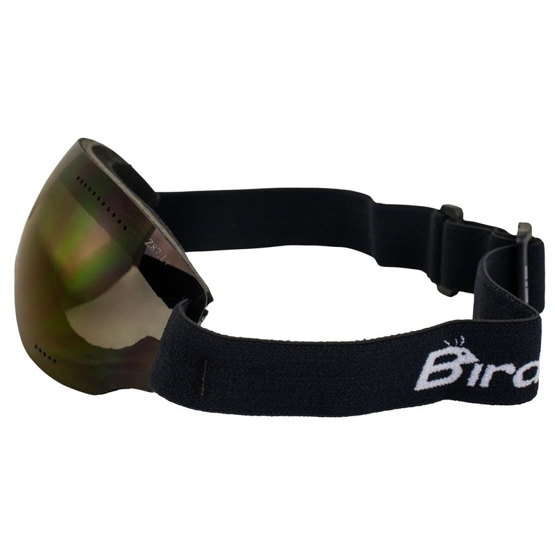 Birdz Eyewear Thrush Sport Snowboarding Skydiving Motorcycle Riding Goggles w/Blue