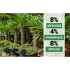 GARDENWISE Gardenwise 8-4-8 Professional Palm Tree Fertilizer Plant Food; for