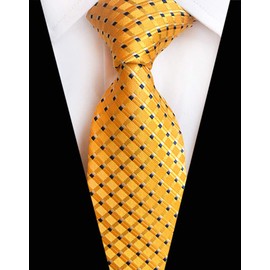 BESMODZ Mens Zipper Ties Plaid Gold Pretied Necktie Woven Zip Up Neck Ties