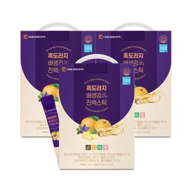 Daewoong Life Science Domestic Black Balloon Flower, Pear, and Ginger Extract Sticks 10g, 100 Packs, 3 Boxes, Throat Health / 대웅생명과학 국내산 흑도라지 배 생강 진액스틱 10g 100포 3박스 목건강