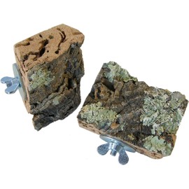 Cork Seat Board for Birds - Size S, M, L, XL, XXL - 100% Organic Bird Cage Accessories - Natural Cork Seat Board for Budgies, Cockatiels, Parrots etc. (S (Set of 2 Each 6 x 5 cm)