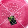Nicole Miller Melamine Dinner Plates 11in Hot Pink Floral Set