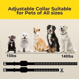 Barkwave Dog Shock Collar with Remote: 3300Ft Rechargeable Dog Training Collar with 3 Training Modes, Rainproof for Small Medium Large Dogs