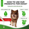Probiotics for Dogs | Liquid Probiotics for Dogs | Prebiotic