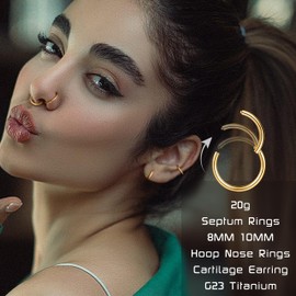 Diamday G23 Titanium Nose Rings Hoops 20G 18G 16G Seamless Hinged Rings for Nose Piercings Hypoallergenic Click Septries Helix Rings Lip Piercings Daith Conch Tragus Rook Belly Button Gold/Silver,