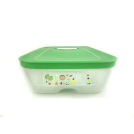 TUPPERWARE PrimaKlima Klimakönig Fridge 1.8 L Dark Green KlimaOase Flat