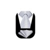 HISDERN Ties for Men Wedding Tie with Pocket Square Set