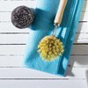 HIC Kitchen Natural Bristle Veggie and Dish Scrub Brush, Non-Scratch