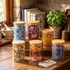 Shellwei 6 Pcs Christian Bible Glass Storage Jars with Airtight