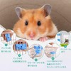 Hamster 80ML Water Bottle 4 Pack Leak Proof Automatic Water