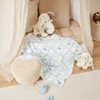 Bieco Cuddly Blanket Various Designs Approx. 90 x 75 cm