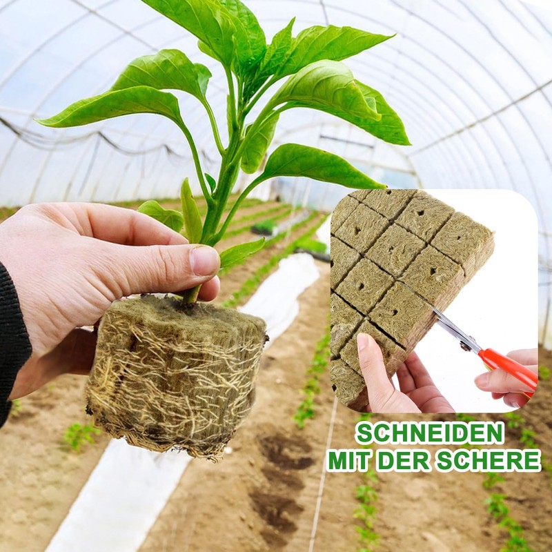 Nuyoah Rock Wool Cultivation Cubes Hydroponics Rockwool Cube Rockwool Cube