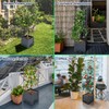 Sumloty 2 Pack Raised Garden Bed Planter Box with Trellis,