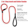 Strong Slip Lead Dog Leash, Heavy Duty Nylon Dog Training