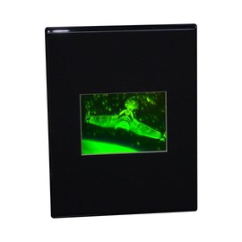 3D Klingon Bird of Prey Hologram Picture (Desk Stand), Collectible Photopolymer Type Film