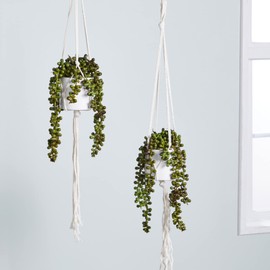 Juvale Hanging Artificial String of Pearls Plant with White Ceramic Pot for Wall Decor, House Warming Gift (31 in, 2 Pack)